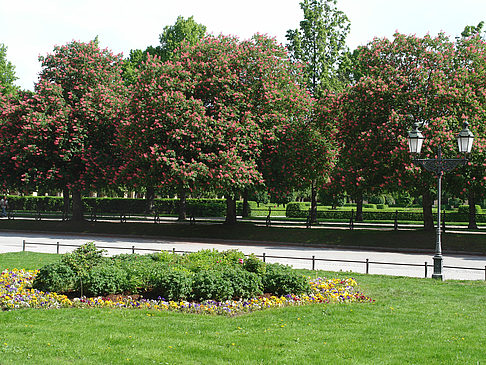 Foto Hofgarten