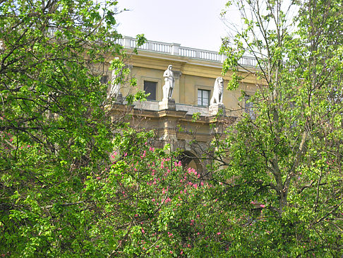 Foto Hofgarten