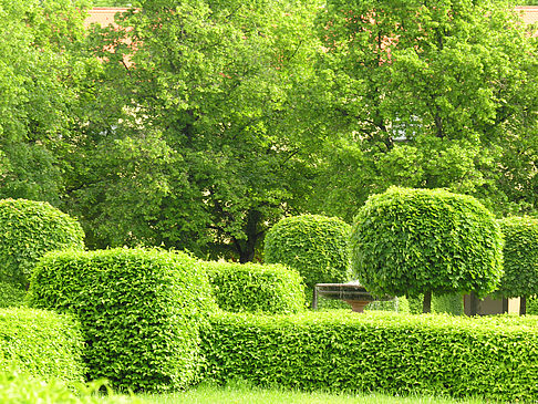 Foto Hofgarten - München