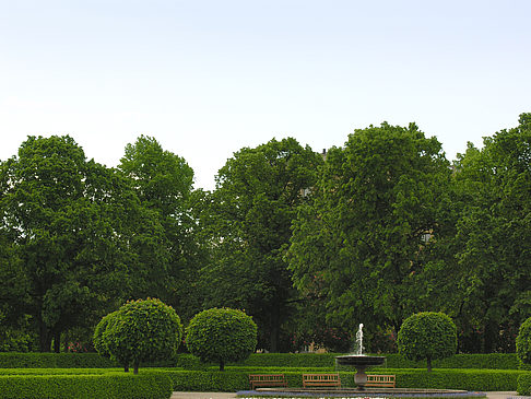 Foto Hofgarten - München