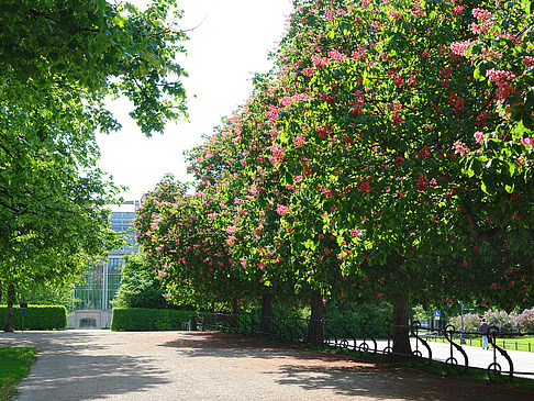 Fotos Hofgarten