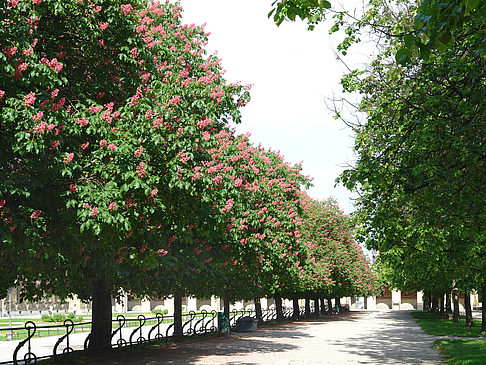 Fotos Hofgarten