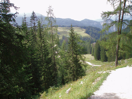 Foto Wanderweg - 