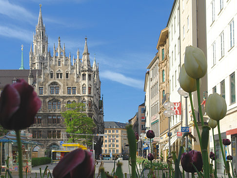 Foto Neues Rathaus - München