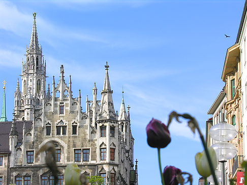 Neues Rathaus Foto 